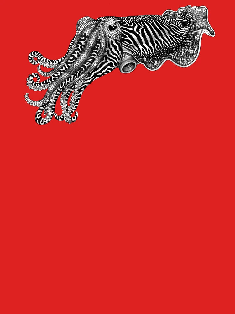 Cuttlefish Classic T-Shirt
