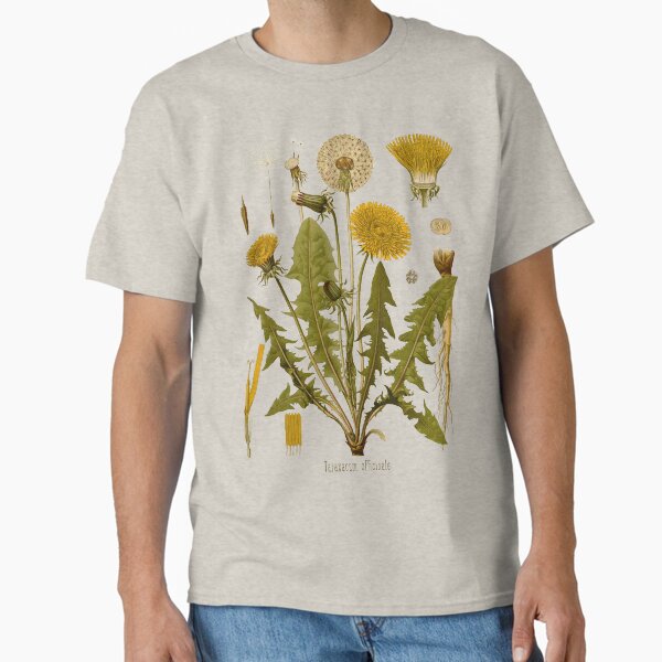 DANDELION Antique botanical illustration Classic T-Shirt